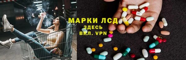 ECSTASY Абаза