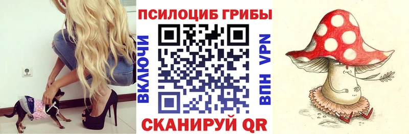 Псилоцибиновые грибы GOLDEN TEACHER  цена   blacksprut как войти  Шенкурск 